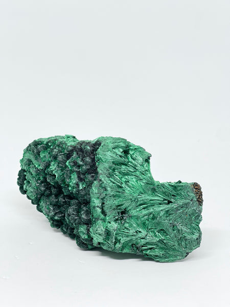 Congo Silky Velvet Malachite 420g