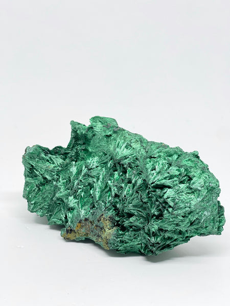 Congo Silky Velvet Malachite 420g