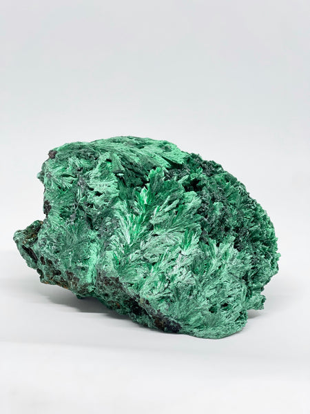 Congo Silky Velvet Malachite 825g