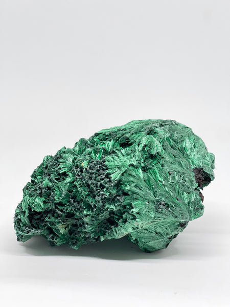 Congo Silky Velvet Malachite 825g