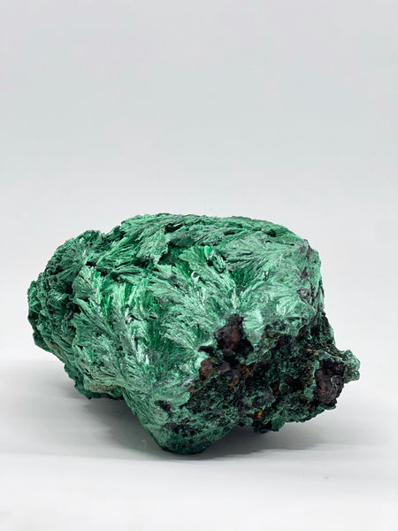 Congo Silky Velvet Malachite 825g