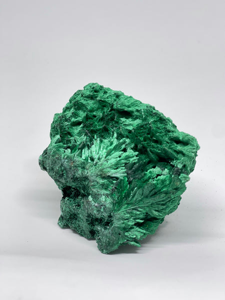 Congo Silky Velvet Malachite 400g